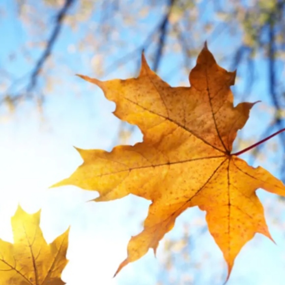 Meet your Posher, Joni - Picture 1 of 1